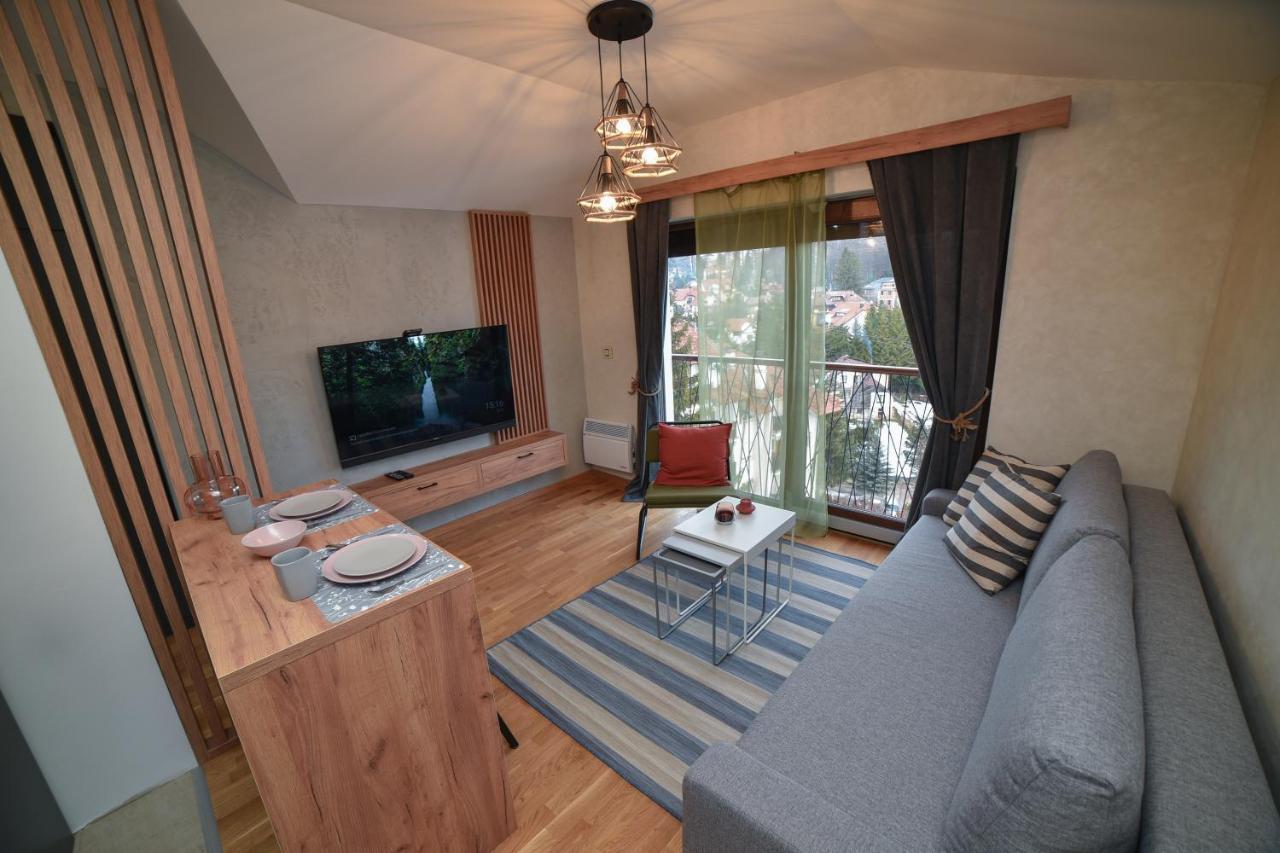 Aria Club Wellness&Spa Zlatibor Extérieur photo